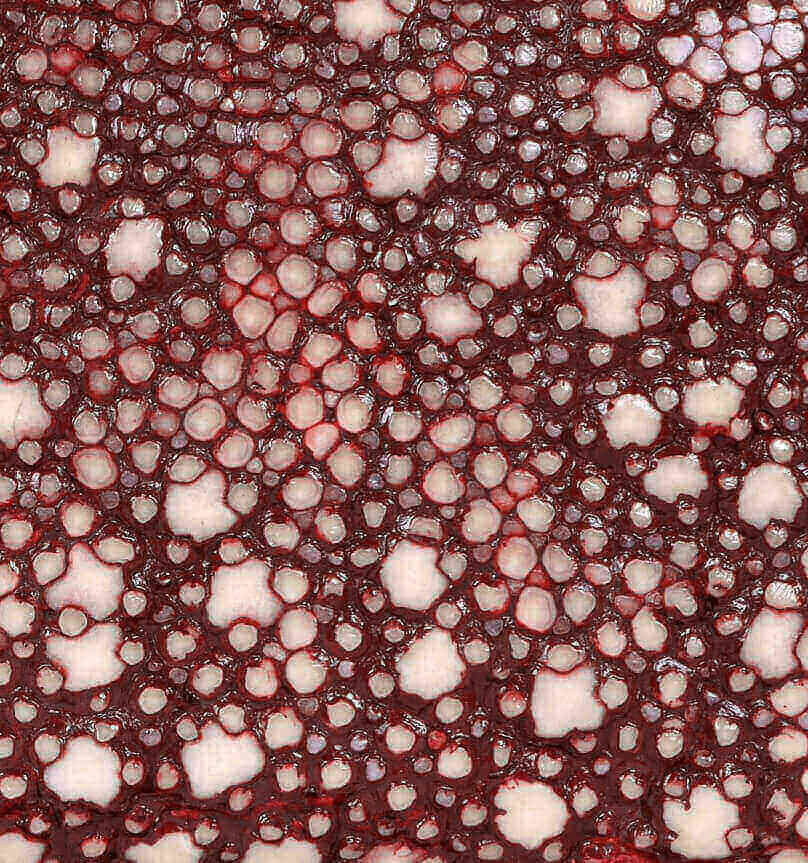 バハリ（BAHARI）の梅花皮（カイラギ）を拡大写真